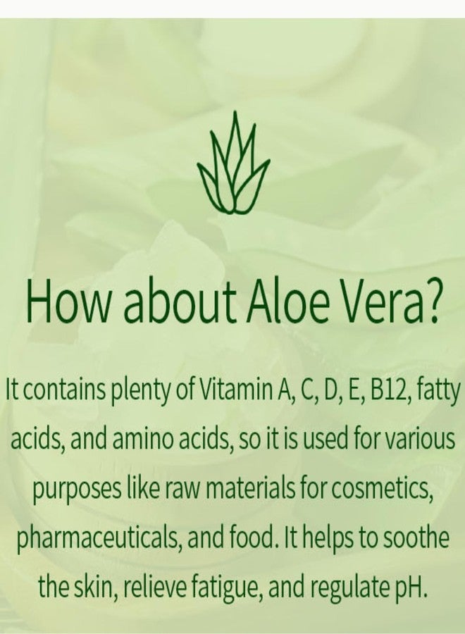 VENAMINE Korean Aloe Vera Soothing & Moisture 100% Gel Mist, 150 Gram - Image 5